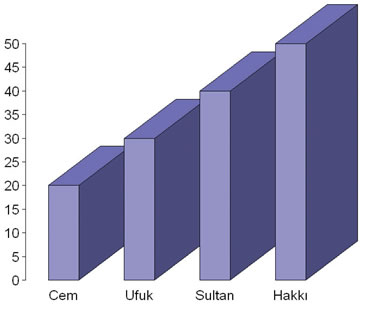 Çalışma Alanı