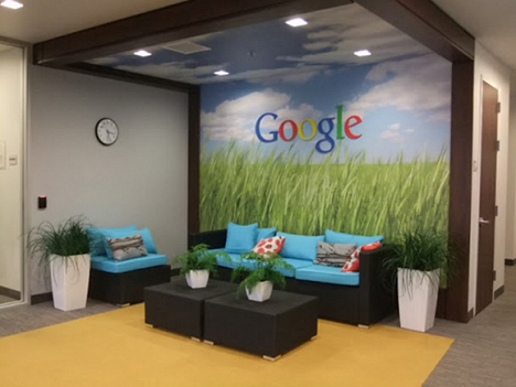 Googleplex'den fotoğraflar