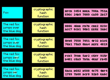 Microsoft Edge ve IE11, SHA-1'i Engellemeye Hazır!