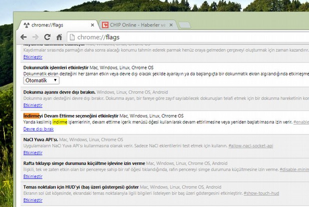 chrome da idm etkinlestirme